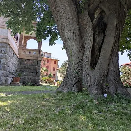 Hotel Fieschi Boutique